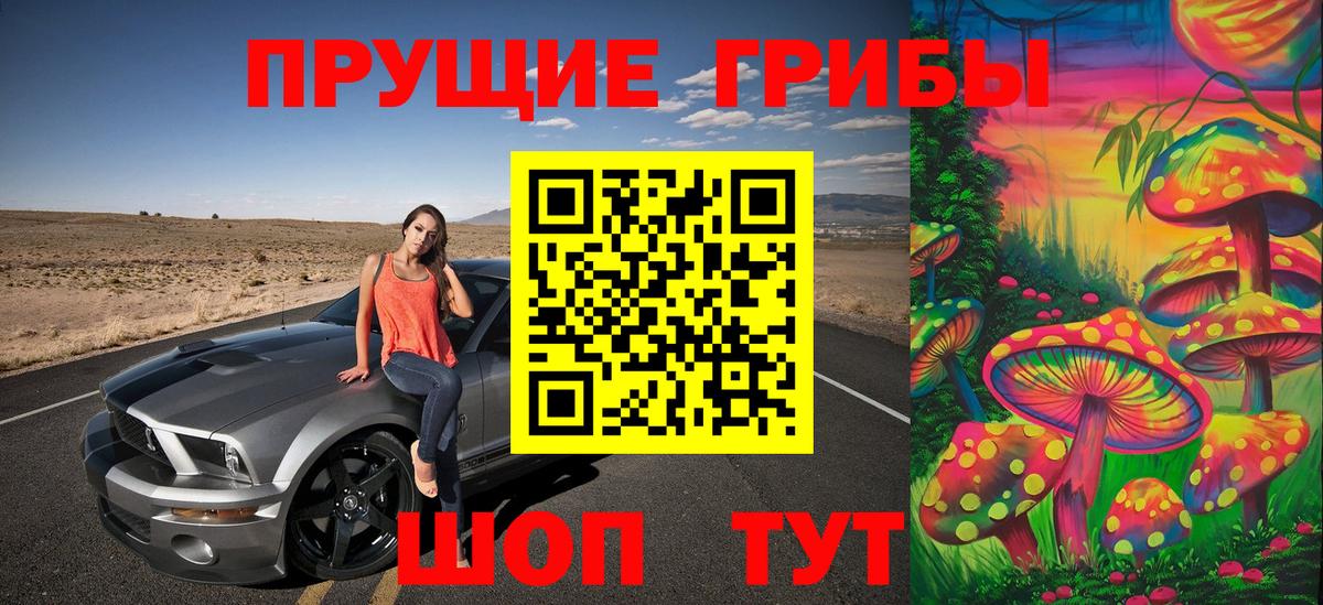 Галлюциногенные грибы Cubensis Кызыл
