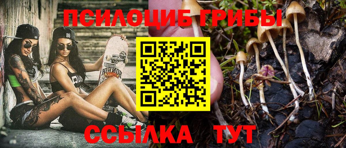 Галлюциногенные грибы мицелий  Галлюциногенные грибы MAGIC MUSHROOMS  Вход с VPN  Кызыл 